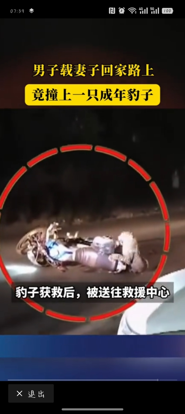 印度男子载妻子回家路上撞上只豹子！