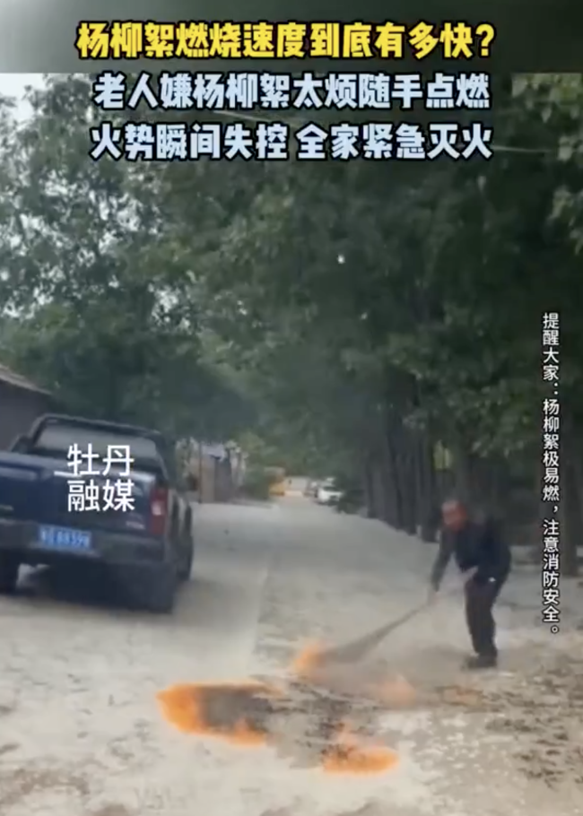 孫女回應(yīng)爺爺燒楊絮險(xiǎn)點(diǎn)著全村 驚險(xiǎn)撲救引發(fā)警示