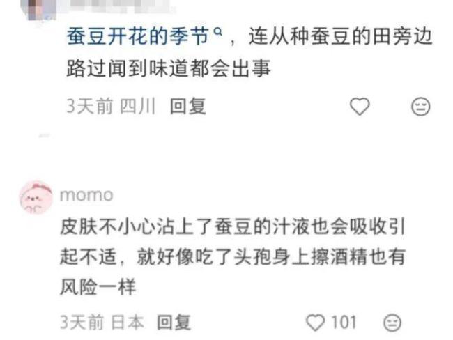 “菜市场禁剥蚕豆怕引发蚕豆病”不实 剥蚕豆不会致病