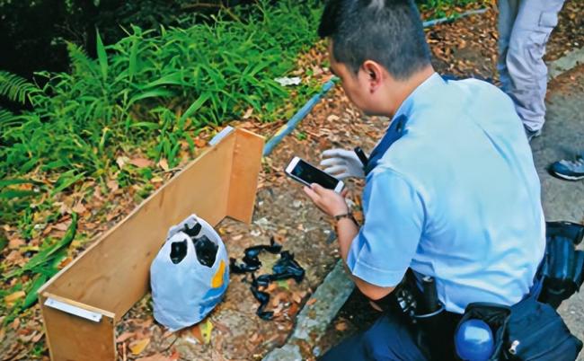 香港飞鹅山绑架案细节曝光 警方揭秘破案全过程