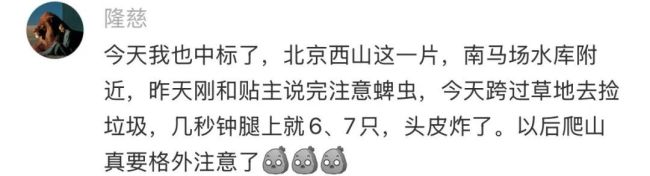 警惕！北京已有多人被叮咬，是什么毒虫？ 蜱虫活跃季需小心