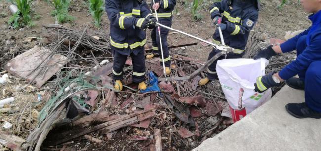 贵州一地菜园土堆藏两条眼镜蛇 消防员告捷排斥隐患