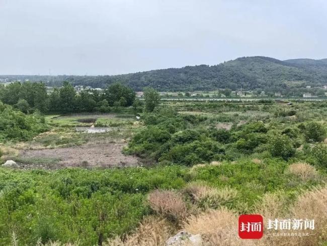 湖北襄阳百亩地疑遭山顶奶牛场污染 多部门联合调查介入