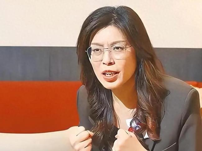 郑丽文重话警告“台独” 反独避战谋和平