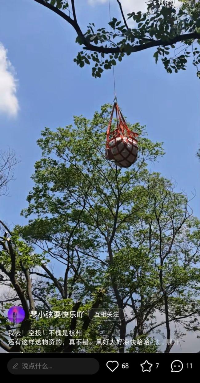 北高峰這一幕讓游客驚嘆“不愧是杭州”，有網友卻擔憂：他們要失業(yè)了