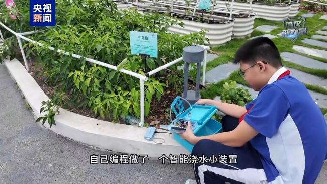 深圳娃把天台玩成“空中农场”！种菜 黑科技，这才是湾区少年的打开方式 动手实践促成长