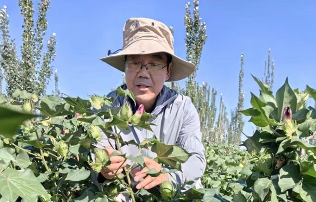 科技助力盐碱地变成“希望田”