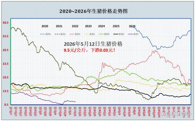 5月13日猪评：8涨5跌 供需紧平衡态势