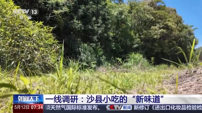 闲田变良田 让沙县小吃留住本土味道