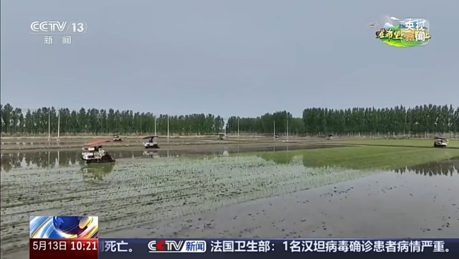 鹽堿地治理、農(nóng)文旅融合 全國(guó)春灌拿出“妙招”