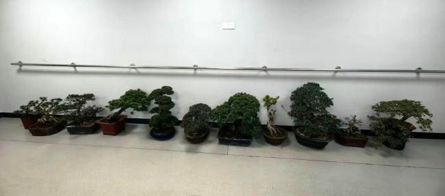 2人深夜偷走14台空调 还顺走多盆盆栽 警方“水路”追踪破案
