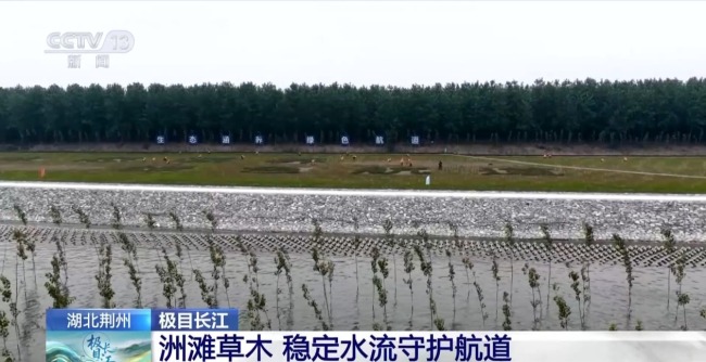 長江“九曲回腸”十年間成黃金水道