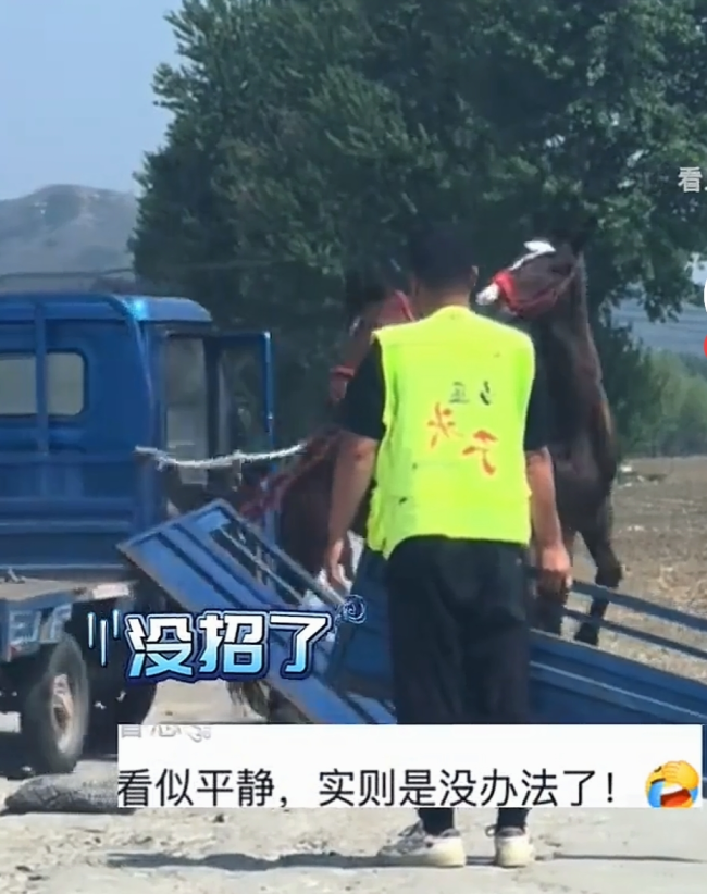 三轮车拴四匹马 车被“大卸八块”
