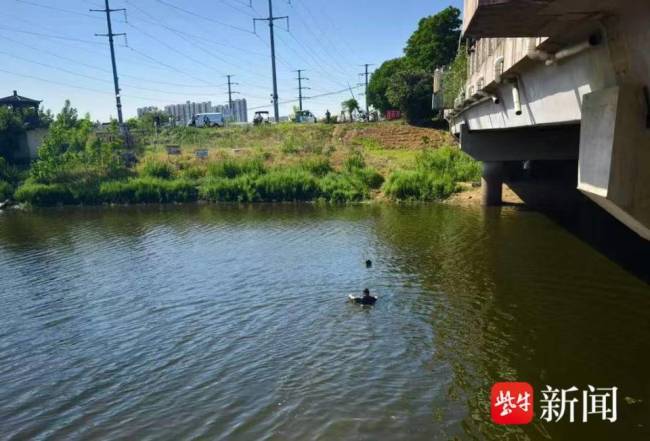 特警跳河救起两名落水群众 争分夺秒显担当
