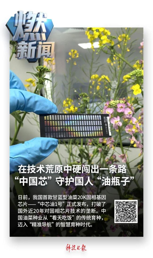 中国首款 打破国外近20年垄断