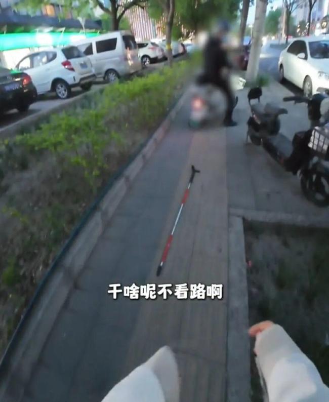 涉事博主抱抱盲兔被禁止关注 虚假摆拍误导网民