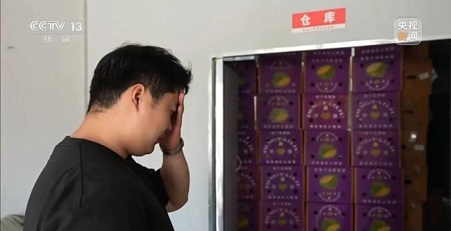 央视梳理“190元榴莲仅退款”全过程