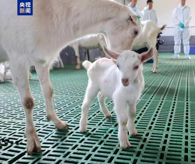 首次，首項(xiàng)，首個(gè)！本周我國(guó)多領(lǐng)域?qū)崿F(xiàn)突破