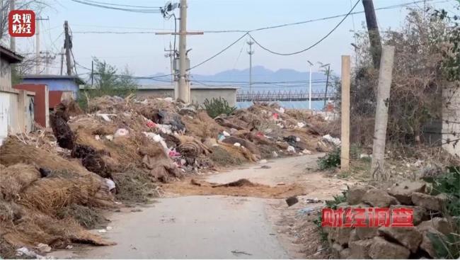 央视曝光垃圾围村乱象 农村环境治理亟待加强