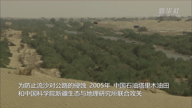 美麗中國(guó)行丨塔里木沙漠公路迎來(lái)新“衛(wèi)士”