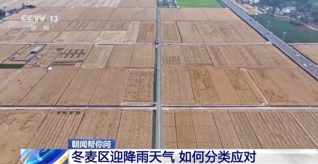 冬麥區迎降雨天氣 各地如何分類應對？