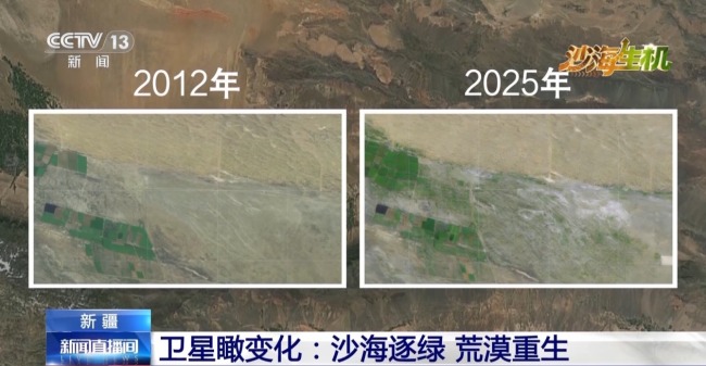 古爾班通古特沙漠綠量持續(xù)擴容