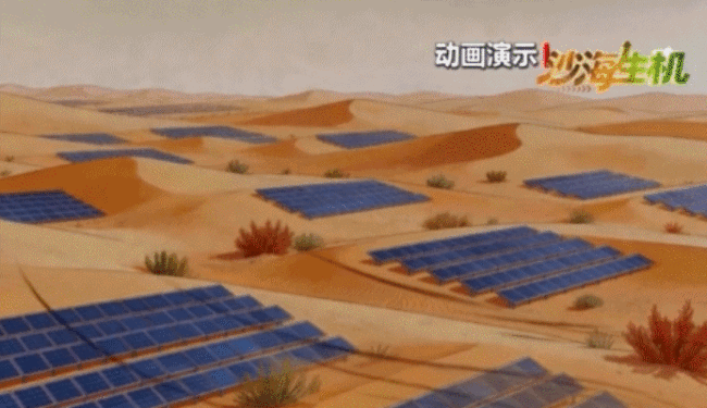 古爾班通古特沙漠綠量持續(xù)擴(kuò)容
