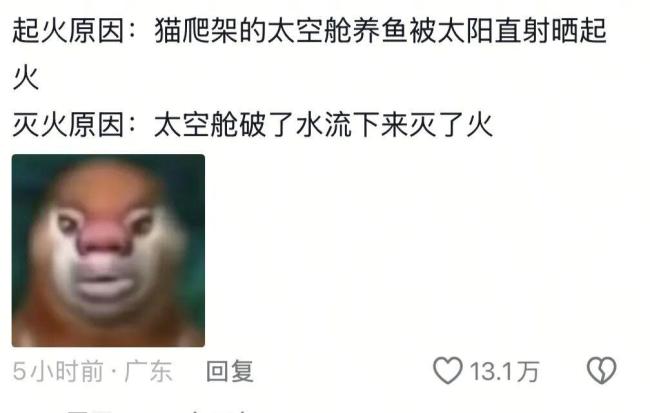 家中透明碗养鱼变凸透镜险酿成火灾 太阳直射引发意外