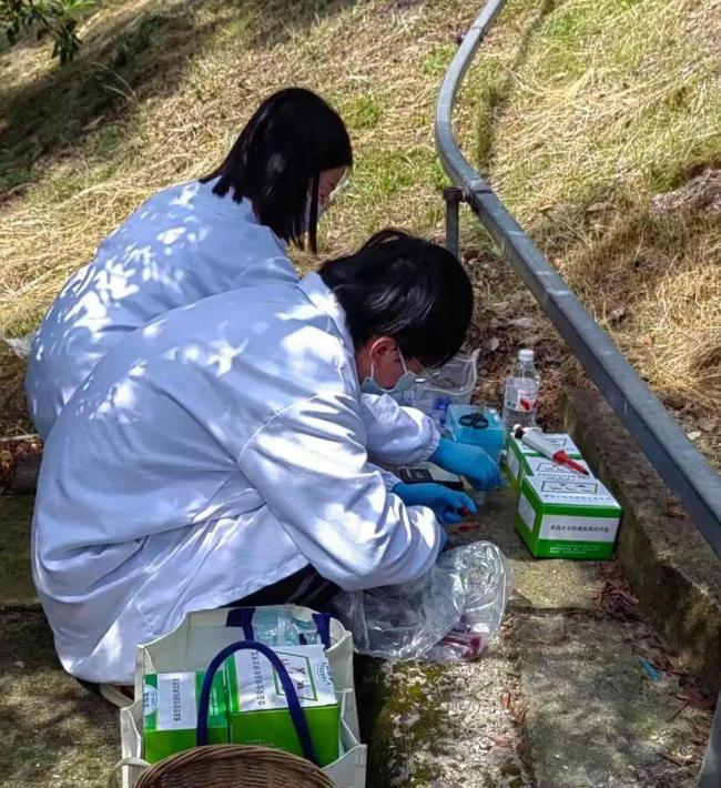 多地对福建杨梅进行专项抽查 严查违规用药行为