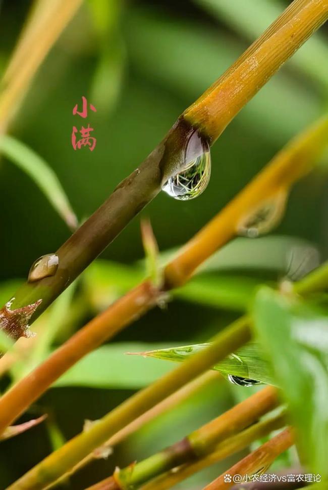 “早小满雨不休，晚小满旱断河”