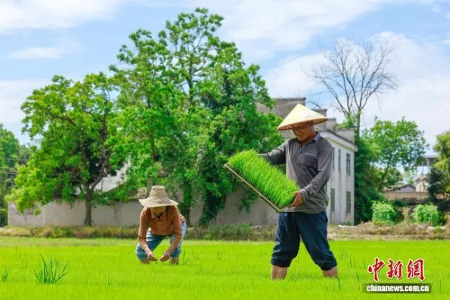 暴雨大暴雨持续 大得像天“漏”了 多地迎强降雨天气