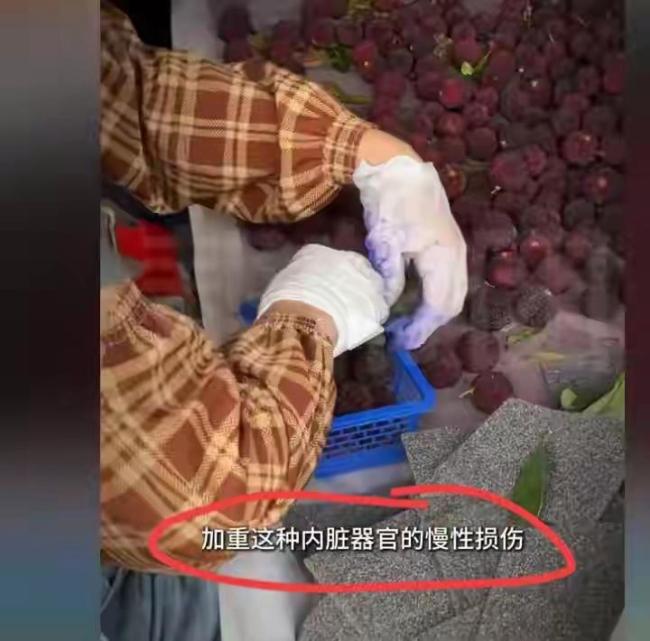 漳州泡藥楊梅事件5人被刑拘 商戶明知有毒仍銷售