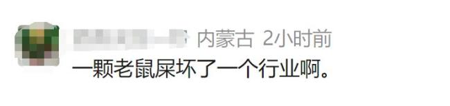 “泡药杨梅”被曝光后，当地协会会长哽咽恳求：给果农一个机会 行业危机亟待解决
