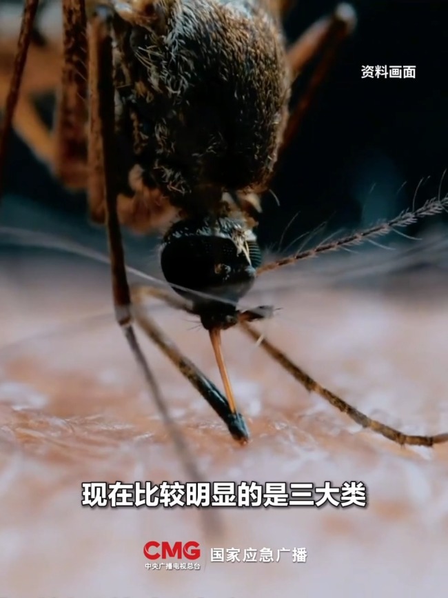 蚊子偏爱O型血吗 别再被误导了