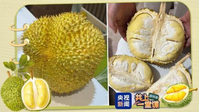 榴莲近期可能还要降价 挑选攻略揭晓