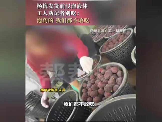 漳州泡藥楊梅事件5人被刑拘 商戶明知有毒仍銷售