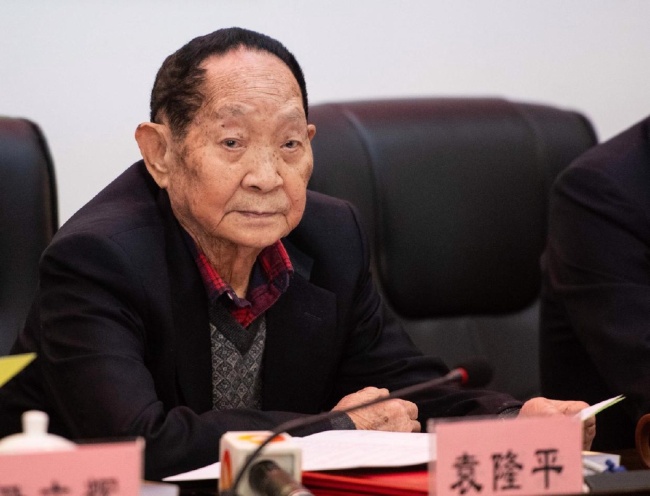 袁隆平创建的实验室里稻子又长高了 绿意葱茏生机勃勃