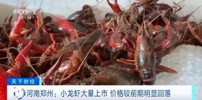 夏季“頂流”小龍蝦批發(fā)價(jià)“跳水” 價(jià)格幾乎觸底