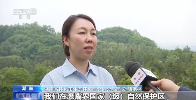 湖南懷化會(huì)同縣淫羊藿數(shù)量五年增長35%