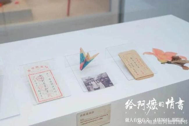 建议欧洲议会集体观看给阿嬷的情书 语言文字维系情感纽带
