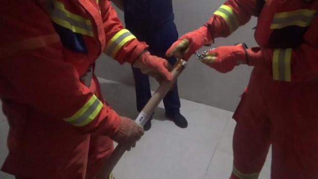 小区电梯间突现小蛇 消防化解险情 消防迅速处置保平安