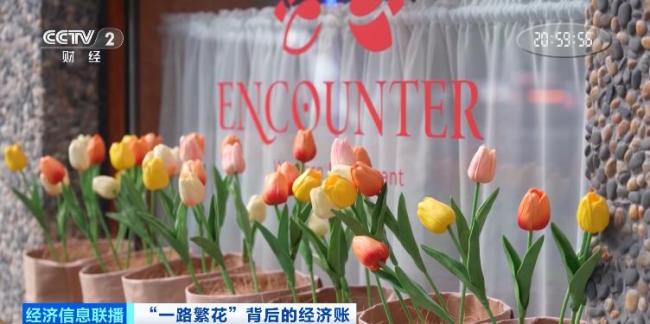 一只潦草小狗带火20亿元商圈 花卉景观催热新业态