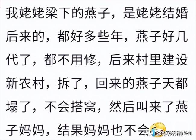 燕子在淋浴喷头上搭窝 房东:先住着