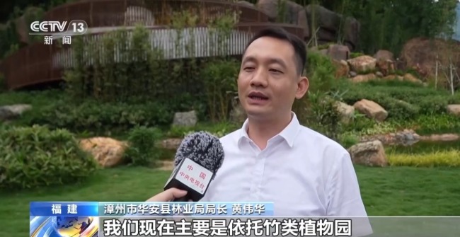 80%國家重點(diǎn)保護(hù)野生植物得到有效保護(hù) 怎么做到的