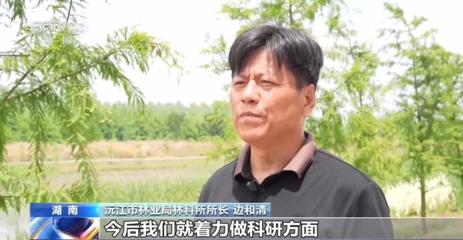 80%国家重点保护野生植物得到有效保护 怎么做到的