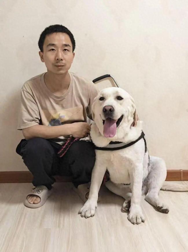 西安申领的导盲犬在天津办不了狗证