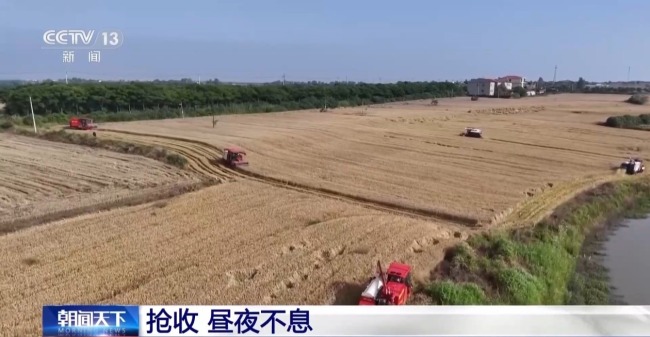 晝夜不息 直擊黃龍鎮(zhèn)小麥搶收48小時