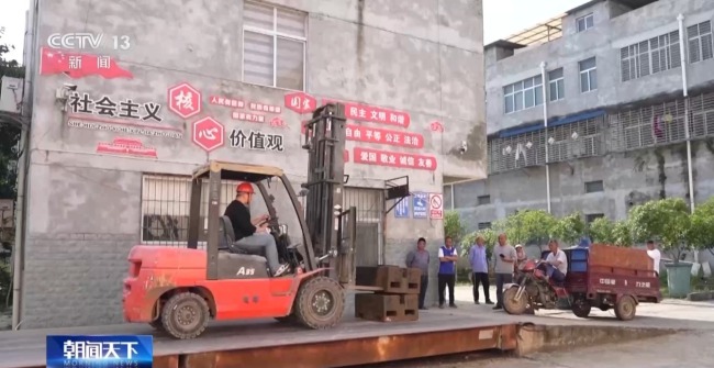 昼夜不息 直击黄龙镇小麦抢收48小时