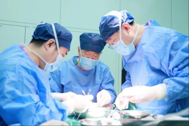 亚洲第二例异种肾移植在西安成功 医学奇迹走向临床现实