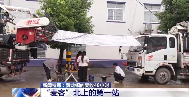 直击湖北黄龙镇小麦抢收48小时 争分夺秒保丰收
